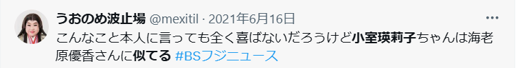 海老原優香に似てるという声